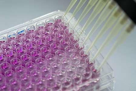 96口井板 用于免疫实验室医疗生物学遗传细胞测试实验样本塑料吸管制药图片