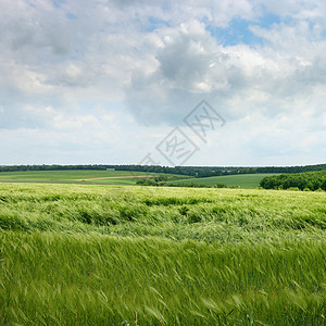 弹出字段草原草地国家太阳村庄照片环境天空蓝色植物图片