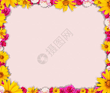 花的圆形形状格柏黄色玫瑰收藏粉色红色植物植物学花瓣向日葵图片
