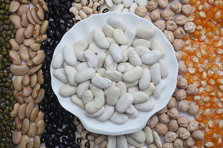 在种子和谷物本种上加上白豆的陶瓷板图片