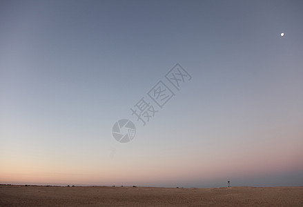 上午在撒哈拉沙漠撒哈拉沙漠哺乳动物沙丘沙漠航程异国大篷车骆驼晴天毛皮热带图片