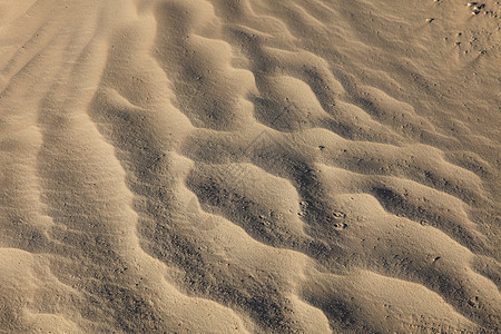 萨哈尔沙地上的风纹理地球沙丘波纹气候游客异国沙漠风景土地情调图片