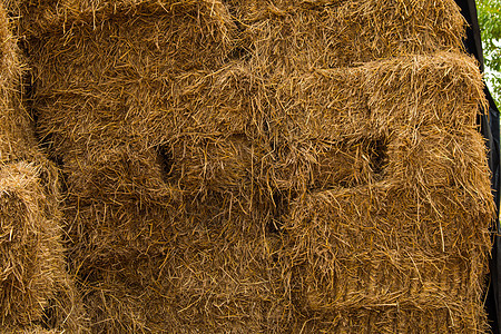 稻草片 牲畜饲料的堆放草的详细细节小麦国家大麦农场收成农田蓝色场地风景谷物图片