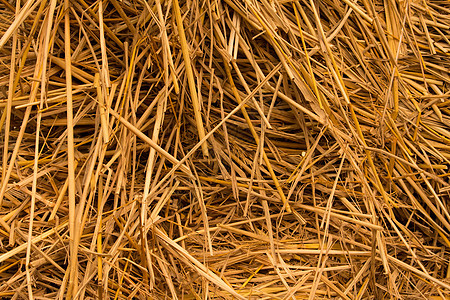 稻草片 牲畜饲料的堆放草的详细细节国家大麦谷物金子土地草地小麦干草草垛风景图片