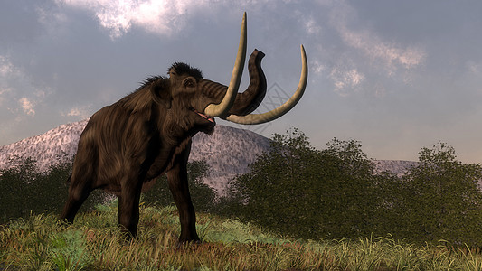 Mammoth - 3D 变制图片