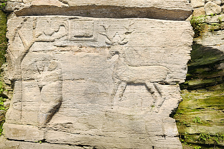 古代岩石绘画历史动物插图砂岩考古学涂鸦雕刻古物雕塑艺术图片
