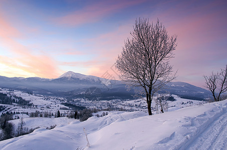 美国喀尔巴阡山的日出 纽约州喀尔巴阡山降雪季节爬坡栅栏环境天气旅行高地森林云杉图片