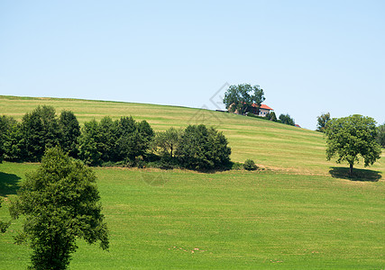 有树木的绿田天空房子场地衬套农村国家图片
