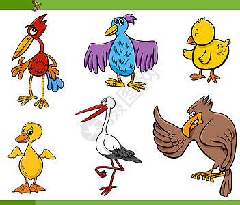 它制作图案鸟卡通设置鸟类小鸡荒野小鸭子收藏野生动物卡通片鸵鸟鹦鹉插图背景图片