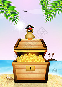 藏宝箱上的海盗鸟海滩海盗船插图硬币百宝箱宝藏海盗胸部贪婪热带图片