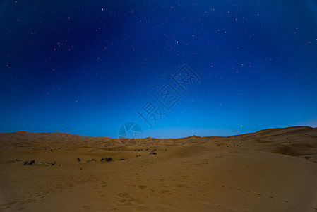 夜间在摩洛哥沙丘上空的夜星异国天空地平线夫妻沙漠绿洲骆驼旅游运输荒野图片