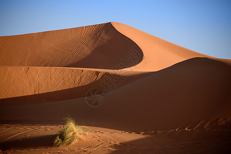 Dunes 摩洛哥 撒哈拉沙漠牧羊人绿洲运输骆驼哺乳动物夫妻晴天情调荒野太阳图片