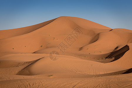 Dunes 摩洛哥 撒哈拉沙漠情调牧羊人荒野地平线沙丘寂寞晴天运输太阳动物图片