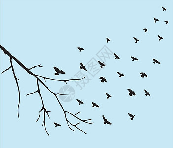 鸟鸟飞行坡度高架动物群宠物动物移民翅膀野生动物拼贴画绘画图片