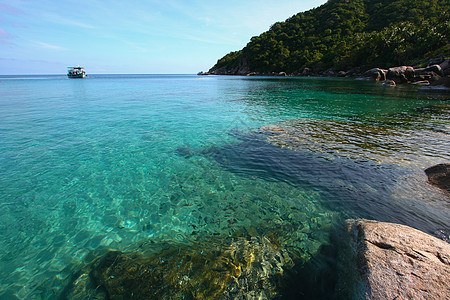 海泰国海洋海滩绿色旅行热带蓝色图片