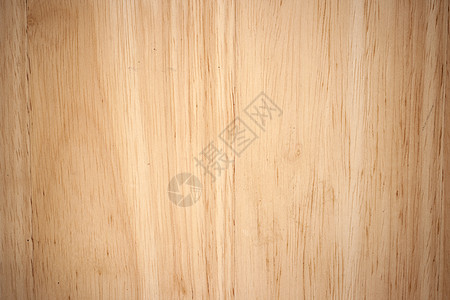 树木背景背景材料墙纸木材样本松树控制板宏观风格木地板粮食图片