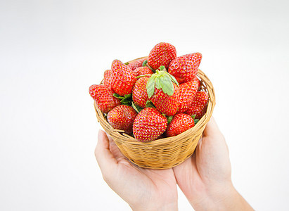 手握篮子中的草莓红色维生素白色收成花园食物水果树叶浆果味道图片