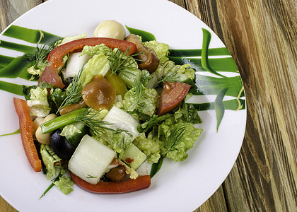 沙拉加卷心菜 西红柿和胡椒食物午餐饮食黄瓜红色蔬菜营养盘子白色洋葱图片