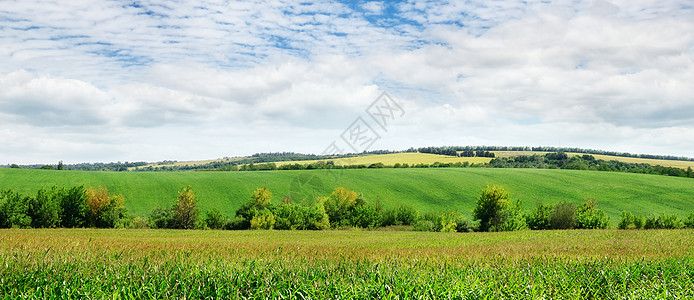 绿地和有光云的天空草地阳光地平线爬坡场地场景蓝色晴天地形山脉图片