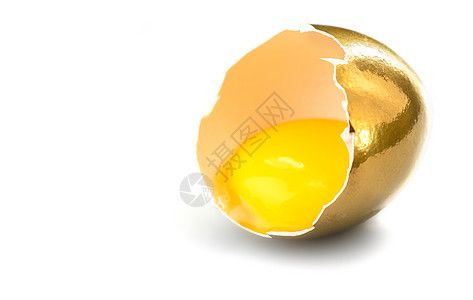 折金蛋图片