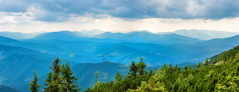 覆盖着绿林的蓝山地平线公园松树全景森林薄雾国家风景山脉天空图片
