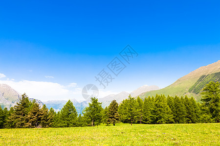 意大利阿尔卑斯山天空草地旅行松树森林山脉场地农村树木植物图片