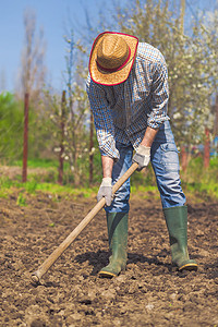 种植植物园地的马林场地耕地农民环境农场日光菜园劳动者土壤阳光图片