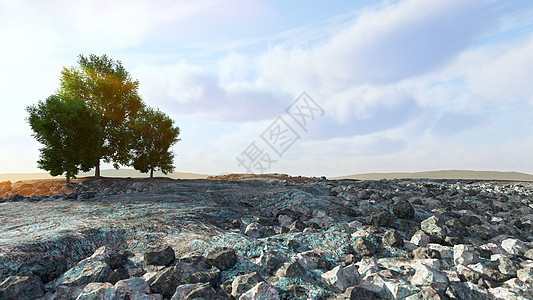 具有岩石和树木概念构成的荒漠景观;图片