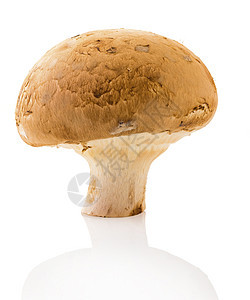 天然天然蘑菇营养棕色蔬菜菌类植物宏观美食食物白色工作室图片
