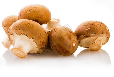 洋葱香农蘑菇菌类食物棕色植物美食宏观营养白色蔬菜图片