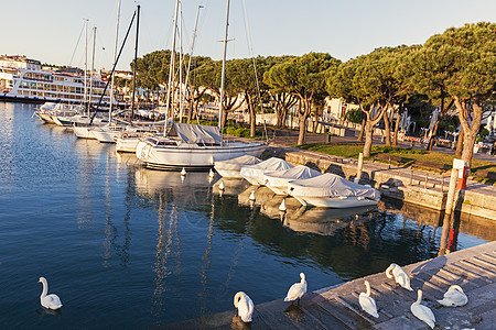 的 Desenzano 港口天空天鹅游艇地标全景天际帆船白色景观建筑学图片