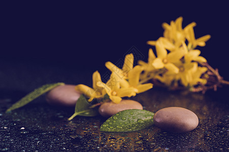 石子和黄色花朵 用水滴在黑色上平衡场景反射绿色沉思禅意鹅卵石艺术矿物叶子图片