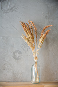 干大麦种子燕麦玻璃灰色黄色收成植物小麦花瓶稻草图片