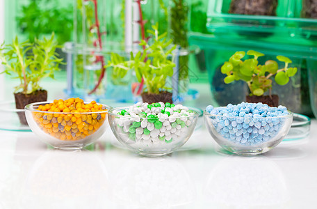 化学杯子里的不同矿物肥料 在水晶杯上图片