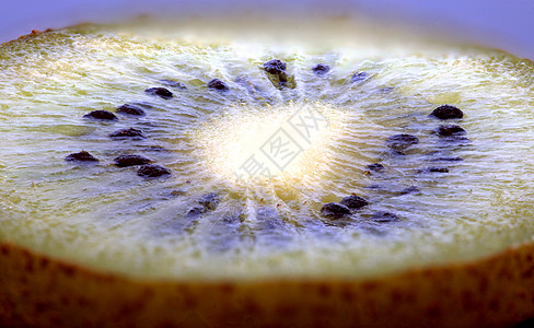 Kiwi 水果园宏观水果果味营养奇异果图片