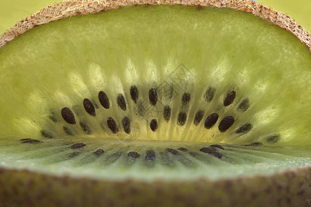 Kiwi 水果园水果营养果味奇异果宏观图片