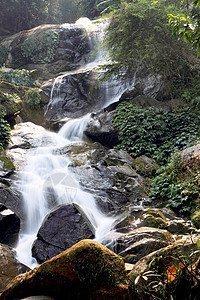 瀑布河绿树地标荒野苔藓森林流动冰川岩石植物石头旅行图片