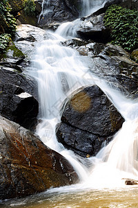 瀑布河绿树荒野流动场景冰川苔藓石头植物森林瀑布溪流图片