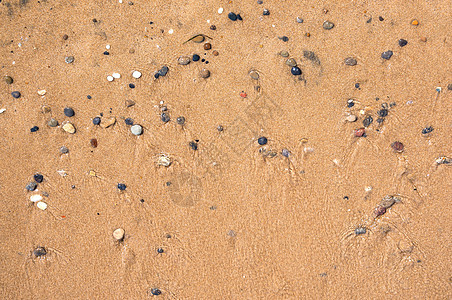 背景由湿沙子和小卵石制成图片