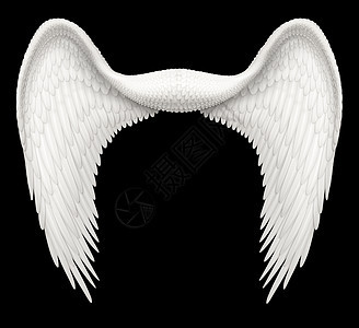天使翼大天使羽毛白色天堂翅膀天使图片