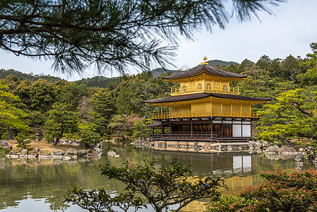 日本京都佛教寺 黄金馆 日本京都的佛庙历史性神社寺庙金子反射佛教徒花园旅行建筑学地标背景图片