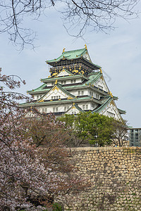 大阪城堡 樱花之花世界天空庆典地标建筑学遗产季节武士观光樱花图片