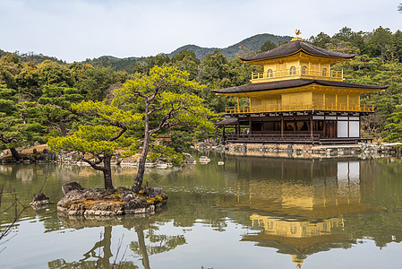 日本京都佛教寺 黄金馆 日本京都的佛庙公园池塘旅游神社宗教旅行地标松树寺庙金子背景图片