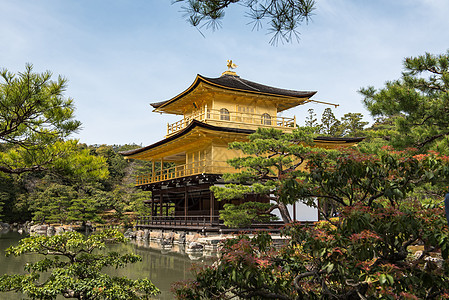 日本京都佛教寺 黄金馆 日本京都的佛庙旅游佛教徒公园文化花园纪念碑反射松树旅行寺庙背景图片