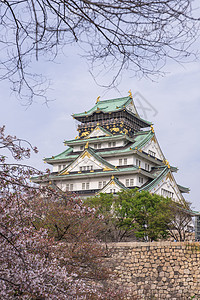 大阪城堡 樱花之花叶子建筑学地标庆典观光武士天空樱花世界文化图片