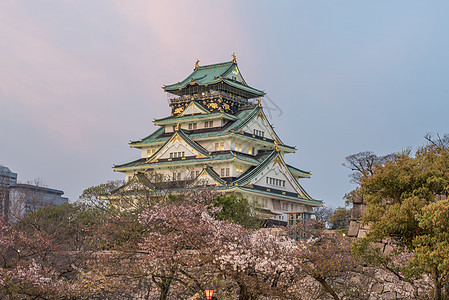 大阪城堡 樱花之花观光旅行建筑学文化庆典遗产武士天空世界地标图片