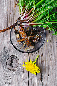 花朵的根植物群杂草草本植物药品生长治疗荒野叶子黄色康复图片