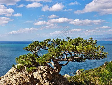 海面和蓝天空背景的山林 深海和蓝天图片