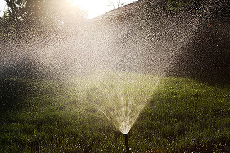 自动水喷洒灭水器绿化太阳环境水分院子农业园林花园场地生长图片