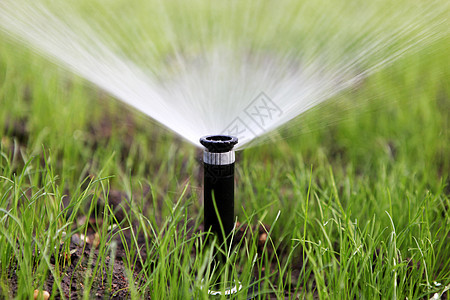 自动水喷洒灭水器草皮草地太阳园艺院子园林液体场地灌溉农业图片